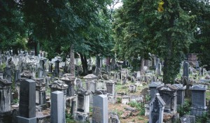 Jewish Cemetery Währing