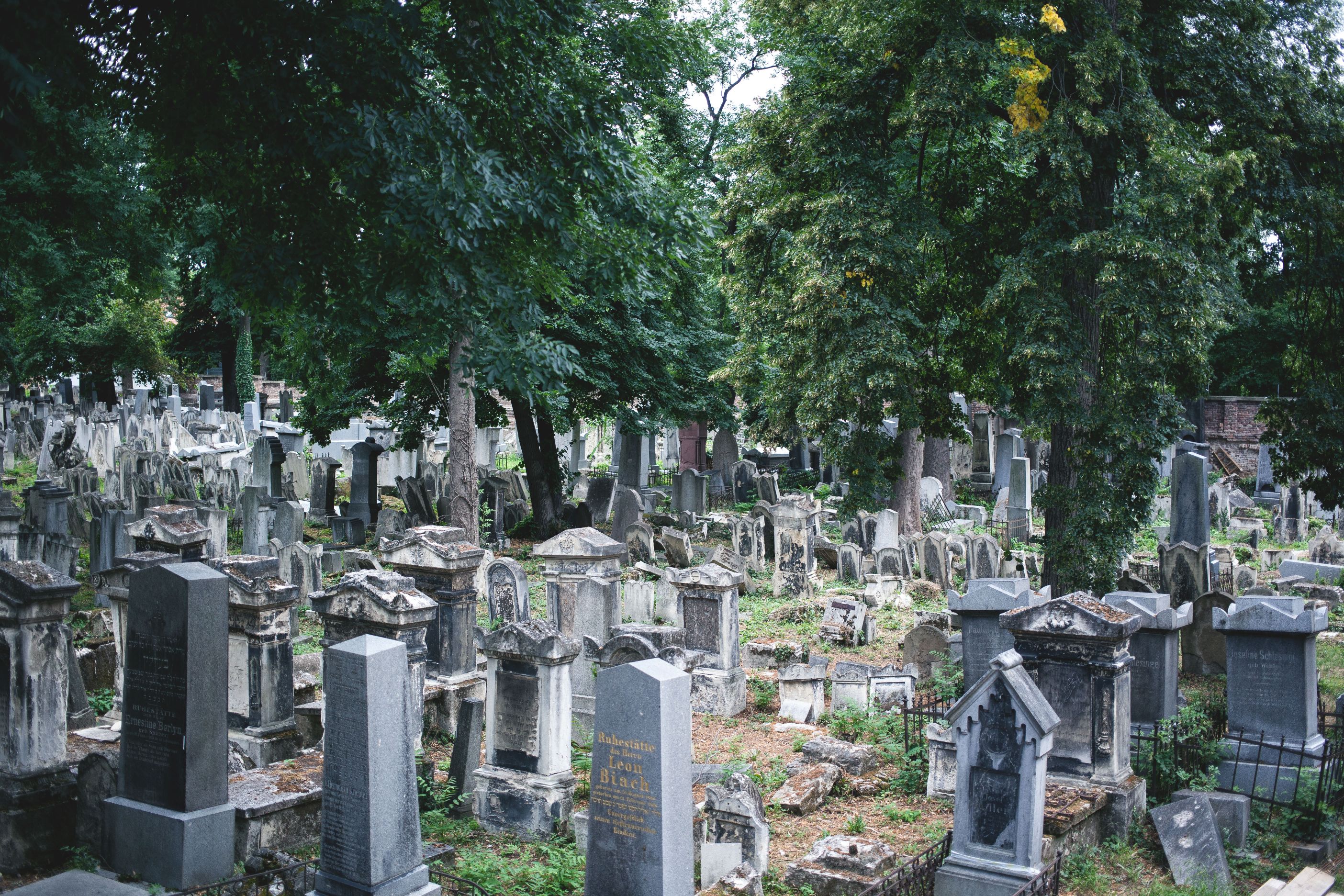 Jewish Cemetery Währing